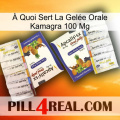 À Quoi Sert La Gelée Orale Kamagra 100 Mg 12
